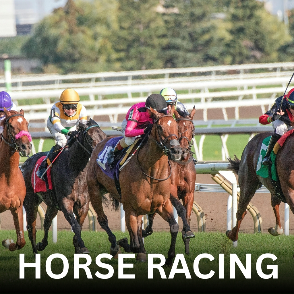 AllPanel Live Betting 6